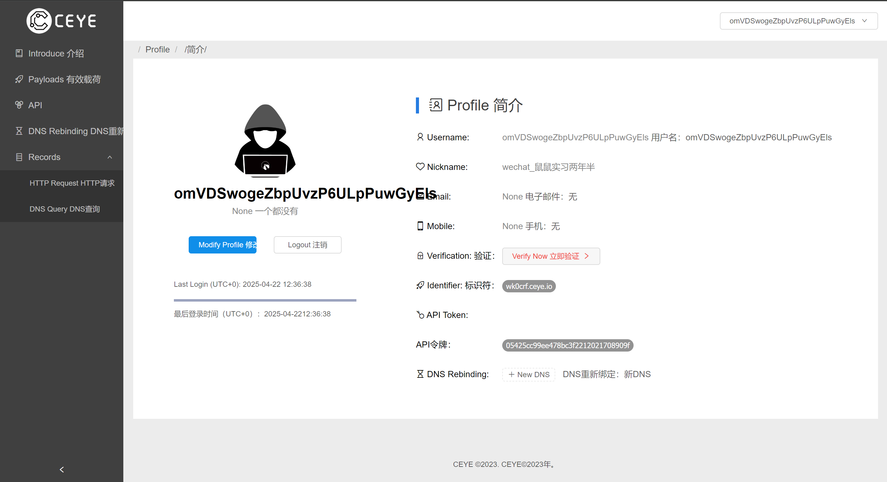 image-20250422203721187