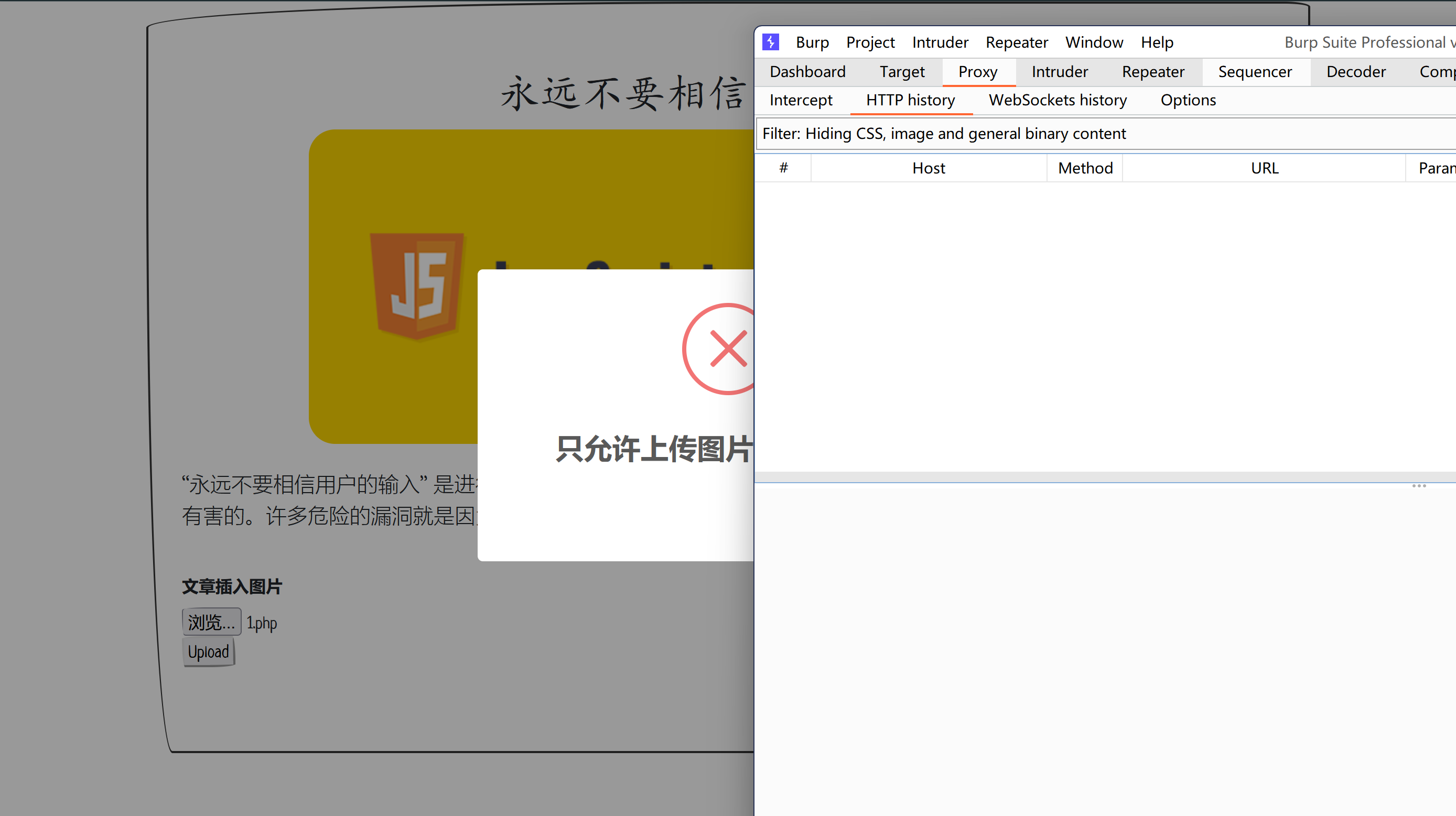 image-20250503135559837