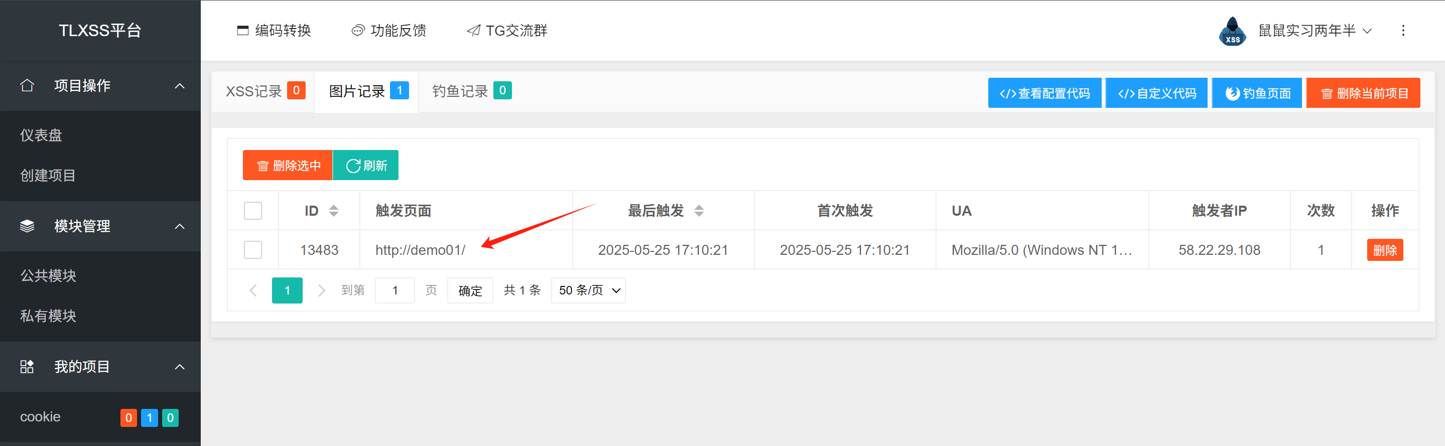 image-20250525171056934