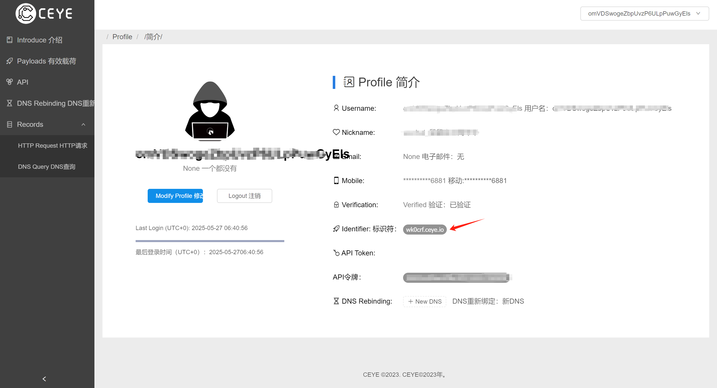 image-20250527144349772