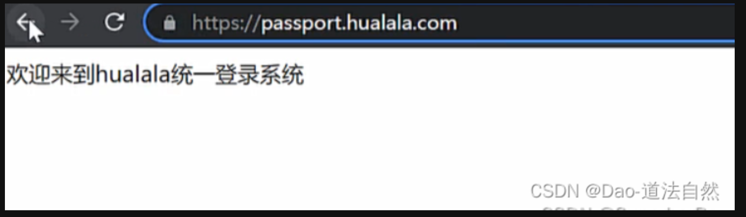 image-20250530115736216