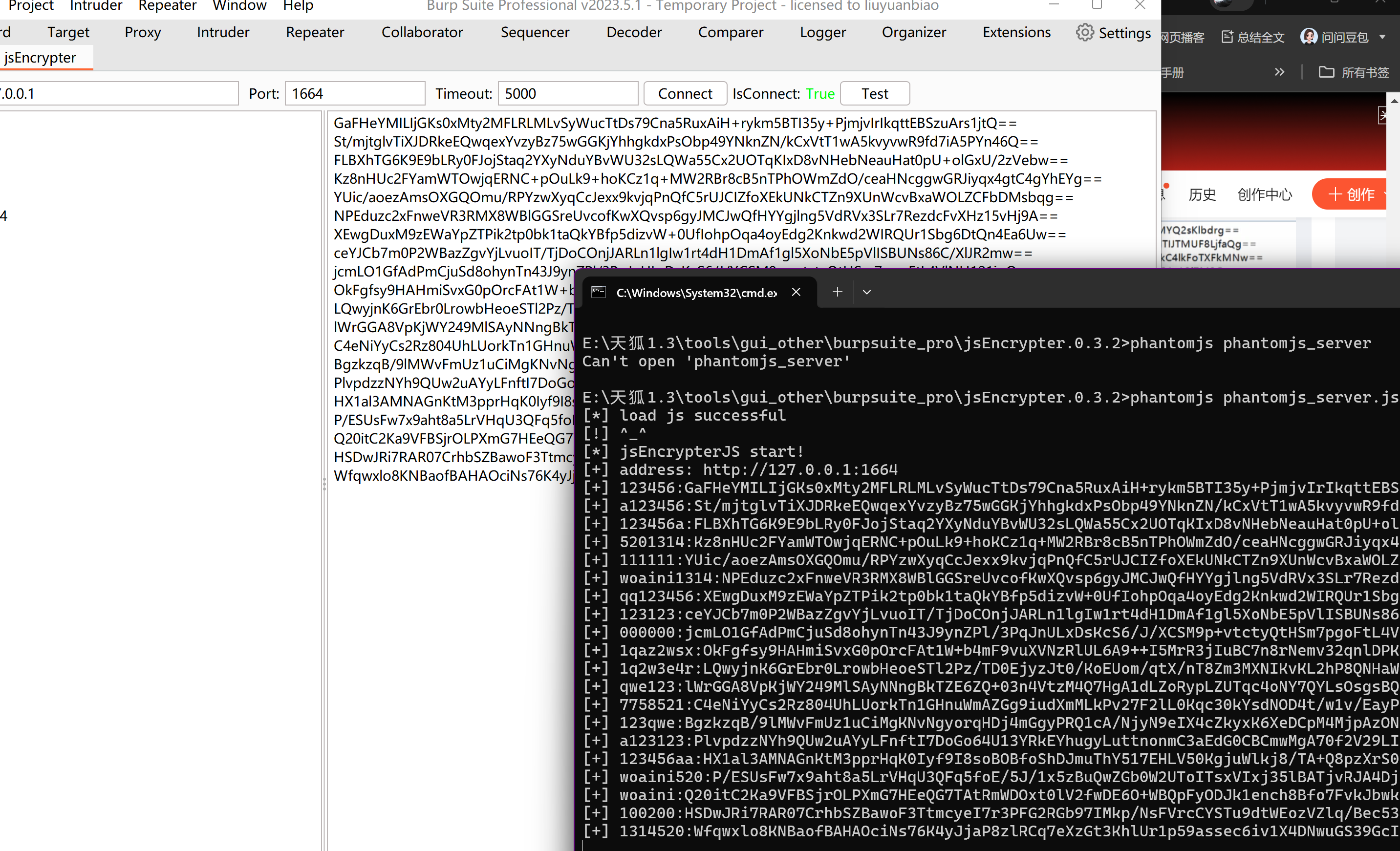 image-20250617155453321