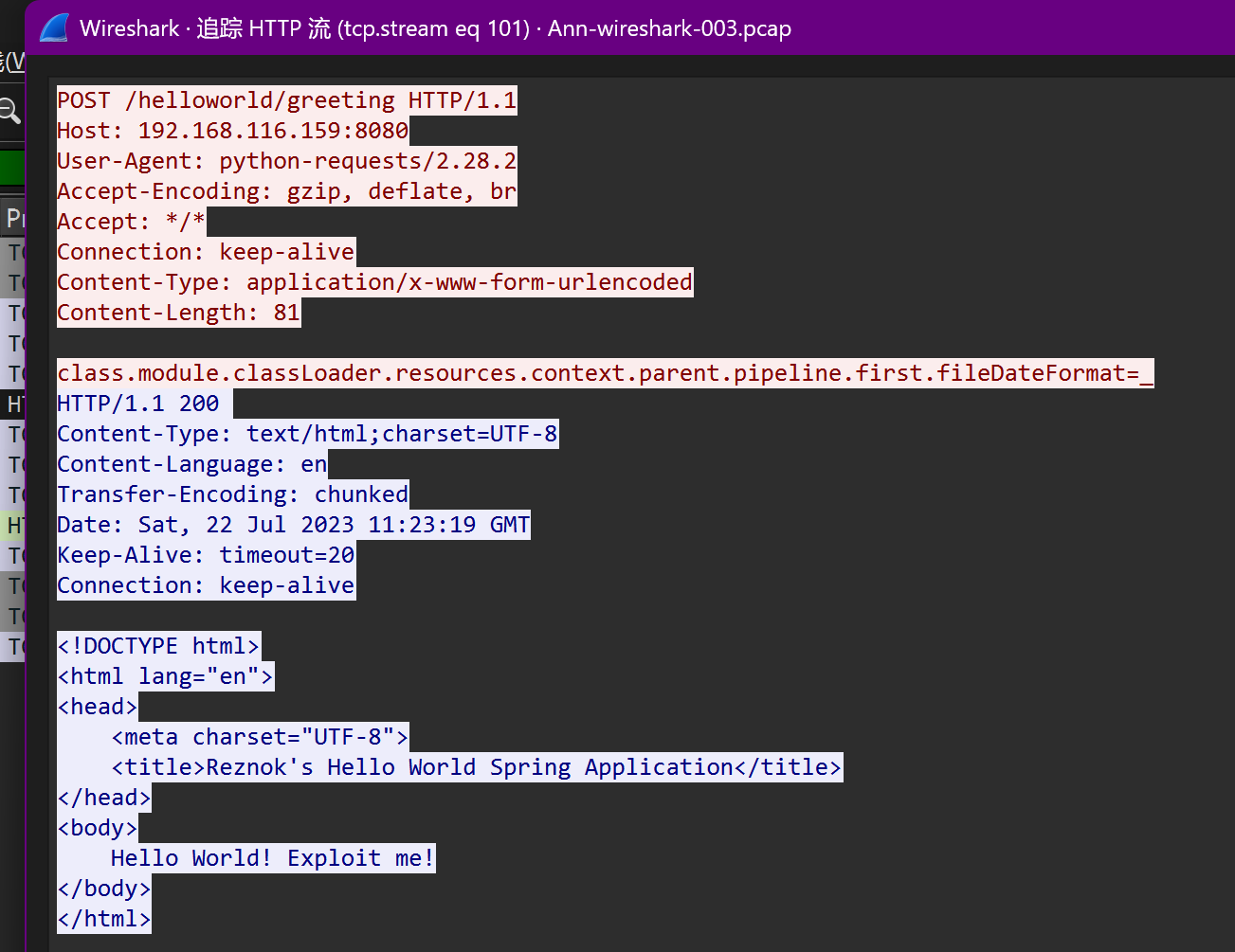 image-20250625204852374