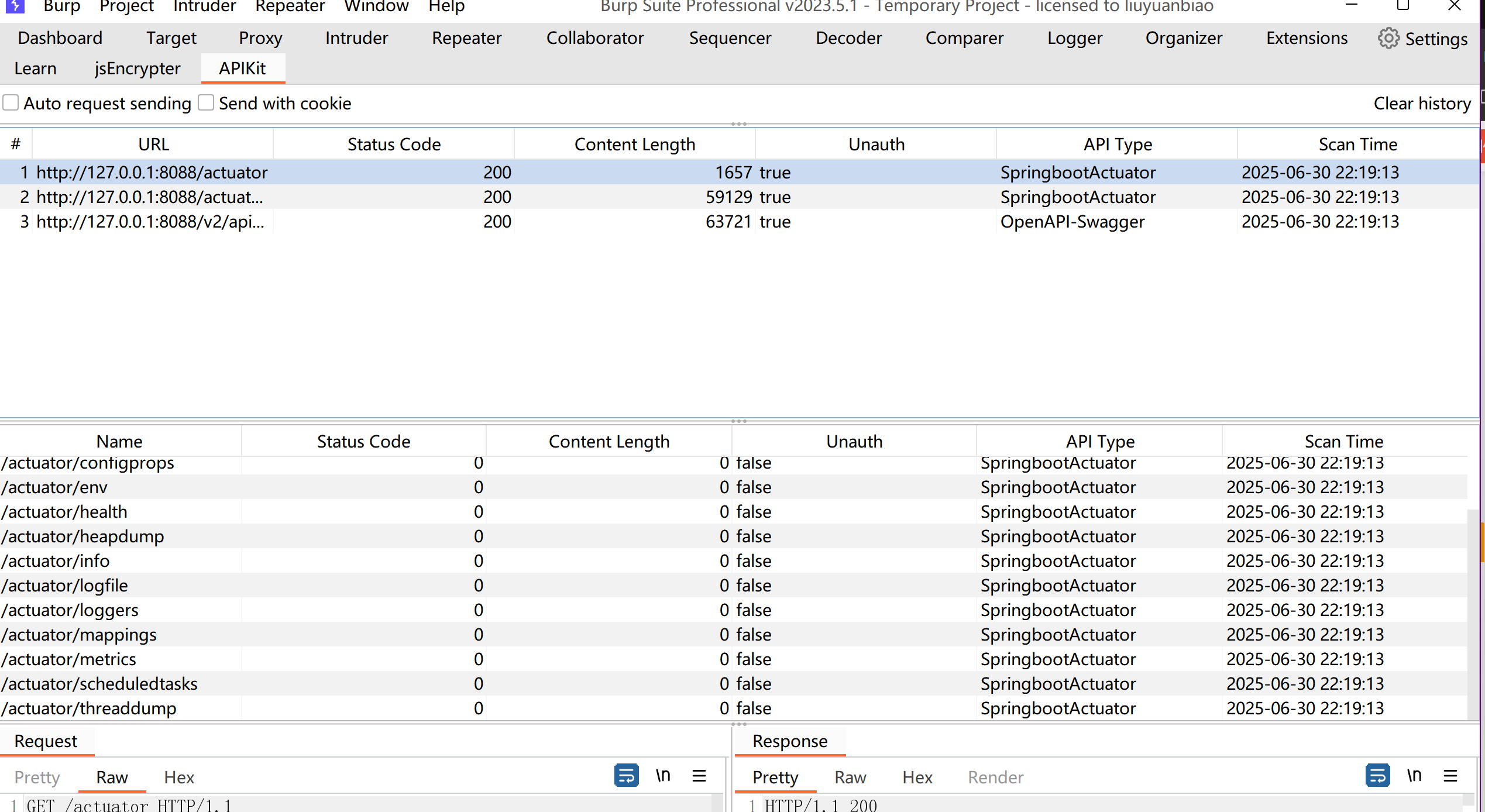 image-20250630224018372