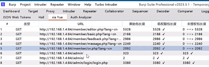 image-20250702210613593