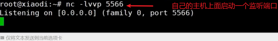 image-20250709102837232