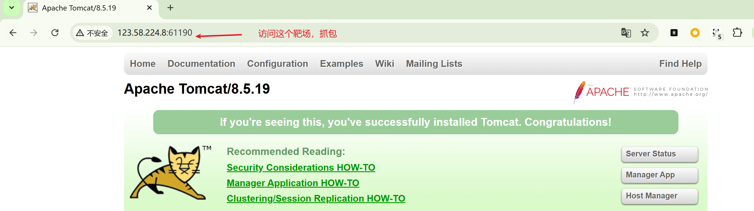 image-20250709114124737