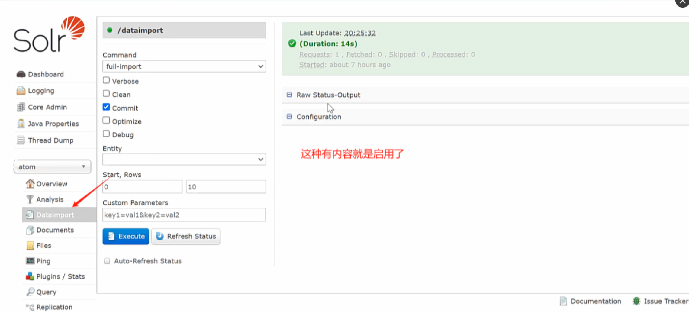 image-20250710125459861