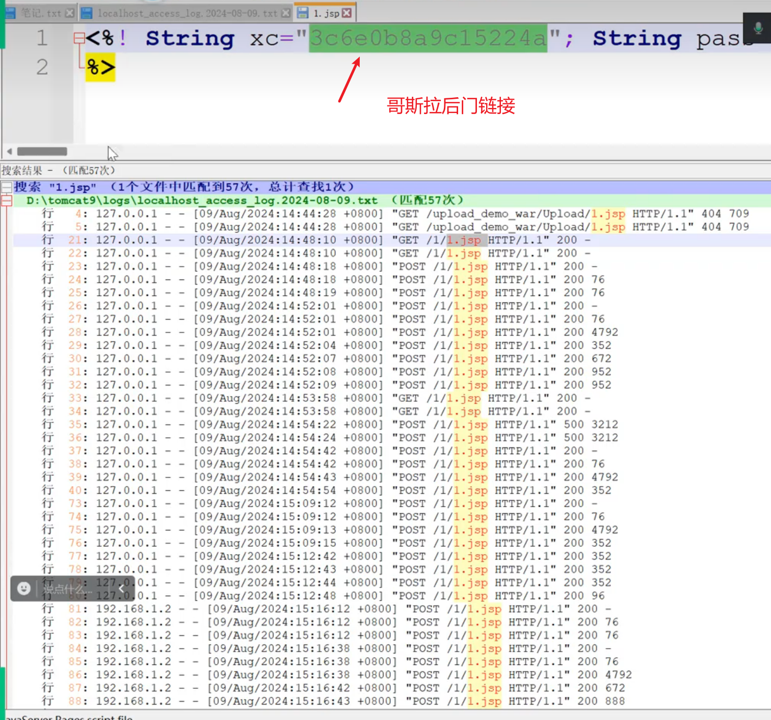 image-20250722110443606