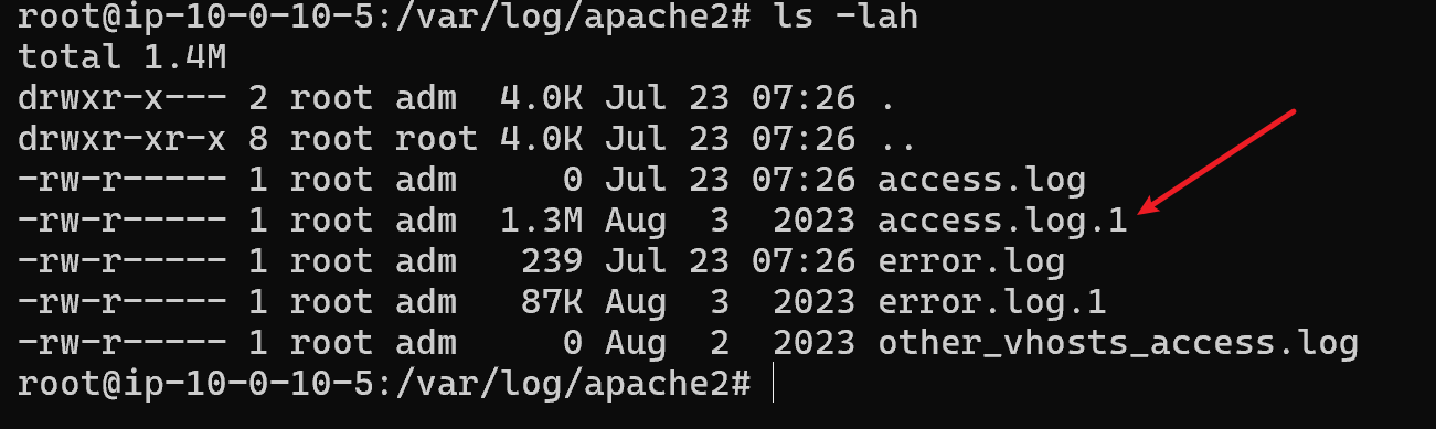 image-20250723152901781