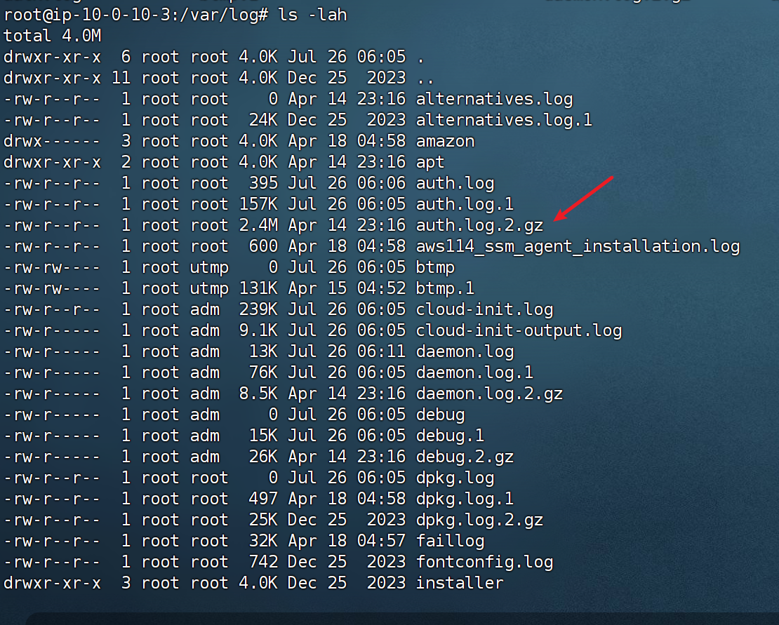 image-20250726181353336