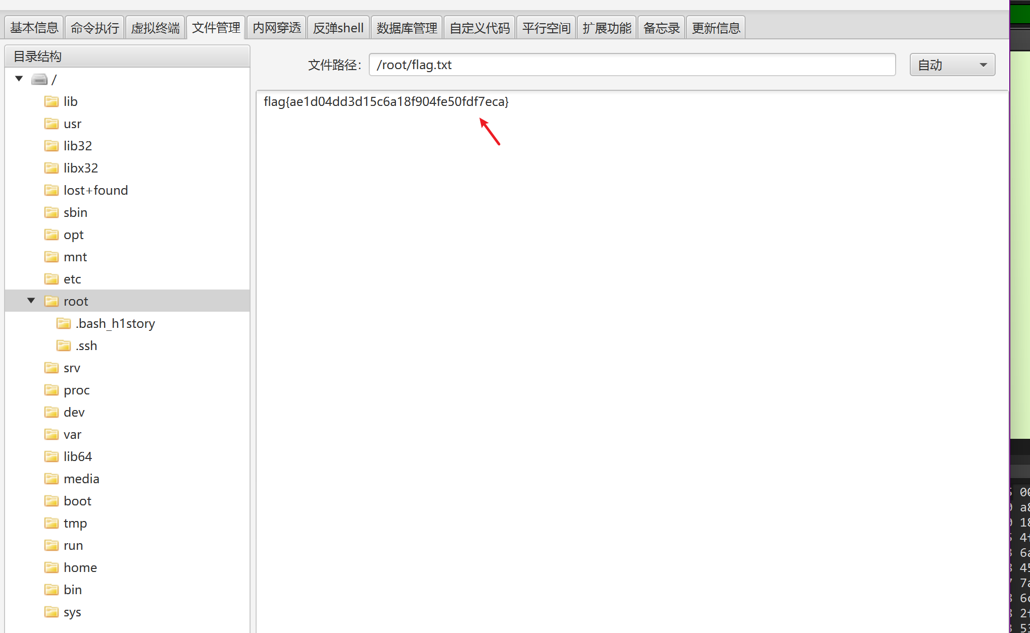 image-20250727174855383