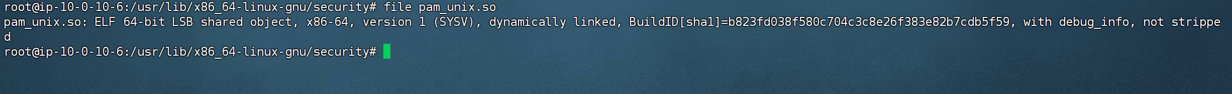 image-20250801143509680