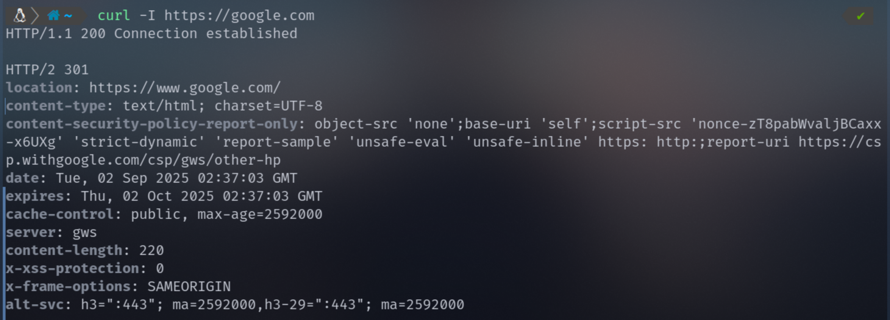 image-20250902110727158