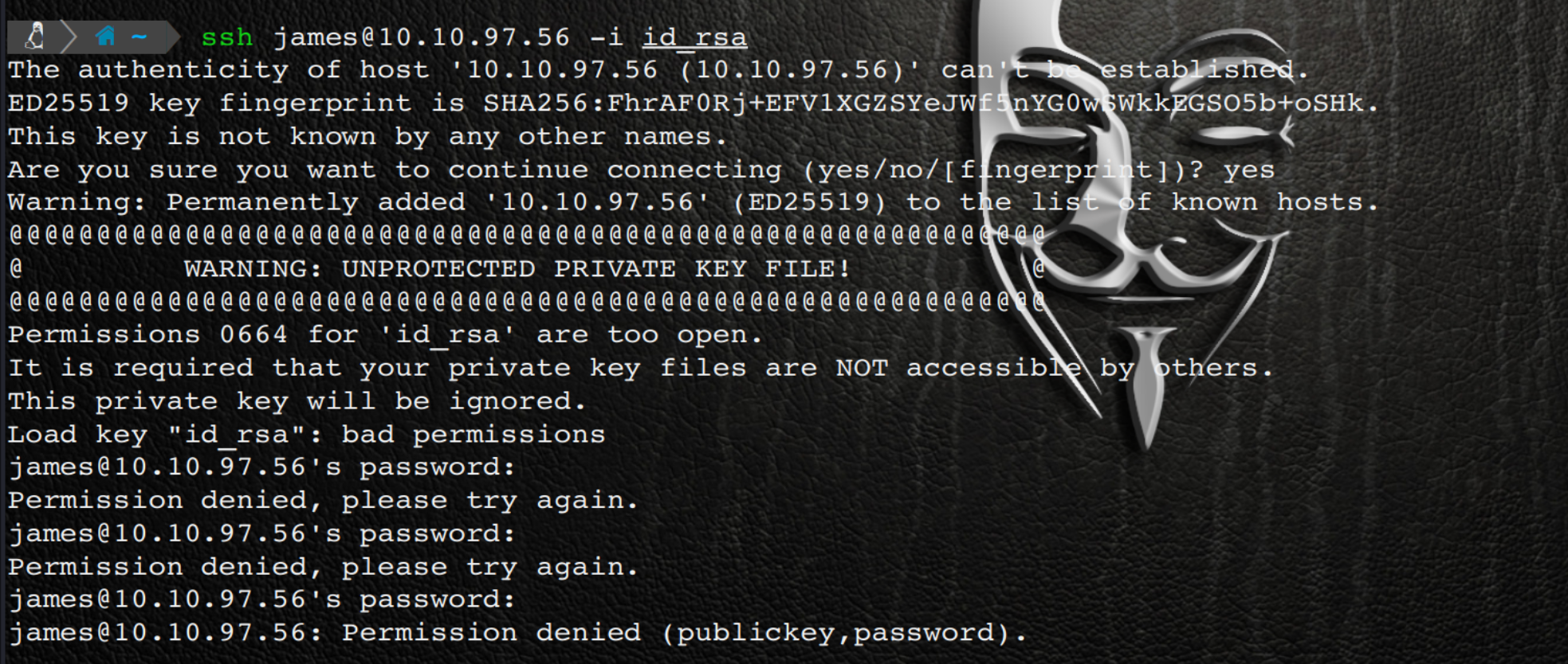 image-20250908173040516