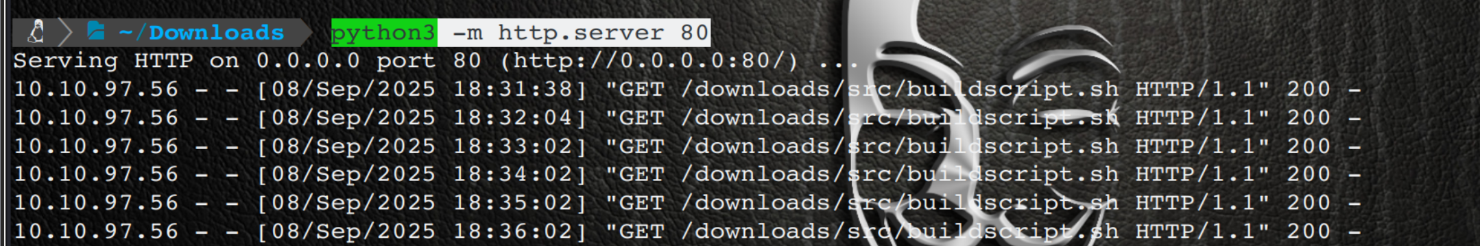 image-20250908183940517