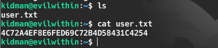 image-20250913210147039